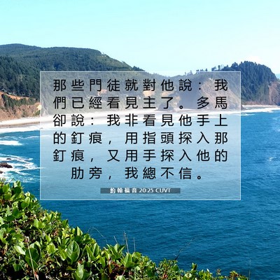 Picture 07 - 約 翰 福 音 20:25 CUVT - 那 些 門 徒 就 對 他 說 ： 我 們 已 - Bible Verse Picture