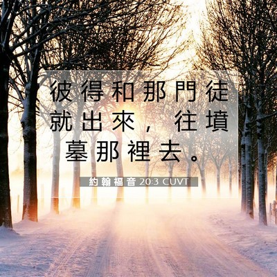 Picture 07 - 約 翰 福 音 20:3 CUVT - 彼 得 和 那 門 徒 就 出 來 ， 往 墳 - Bible Verse Picture