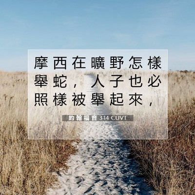 Picture 07 - 約 翰 福 音 3:14 CUVT - 摩 西 在 曠 野 怎 樣 舉 蛇 ， 人 子 - Bible Verse Picture