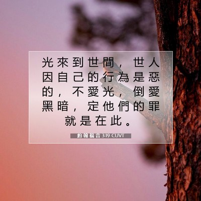 Picture 07 - 約 翰 福 音 3:19 CUVT - 光 來 到 世 間 ， 世 人 因 自 己 的 - Bible Verse Picture