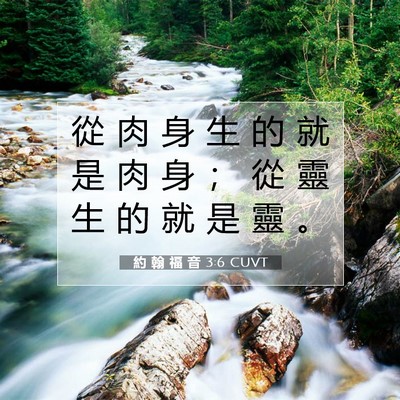 Picture 07 - 約 翰 福 音 3:6 CUVT - 從 肉 身 生 的 就 是 肉 身 ； 從 靈 - Bible Verse Picture