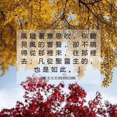 Picture 07 - 約 翰 福 音 3:8 CUVT - 風 隨 著 意 思 吹 ， 你 聽 見 風 的 - Bible Verse Picture
