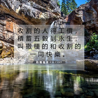 Picture 07 - 約 翰 福 音 4:36 CUVT - 收 割 的 人 得 工 價 ， 積 蓄 五 穀 - Bible Verse Picture