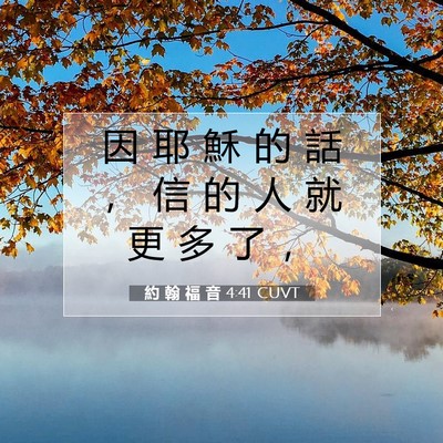 Picture 07 - 約 翰 福 音 4:41 CUVT - 因 耶 穌 的 話 ， 信 的 人 就 更 多 - Bible Verse Picture