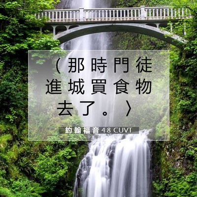 Picture 07 - 約 翰 福 音 4:8 CUVT - （ 那 時 門 徒 進 城 買 食 物 去 了 - Bible Verse Picture