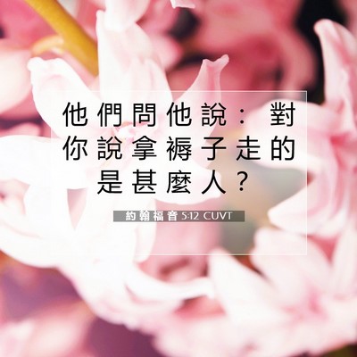 Picture 07 - 約 翰 福 音 5:12 CUVT - 他 們 問 他 說 ： 對 你 說 拿 褥 子 - Bible Verse Picture
