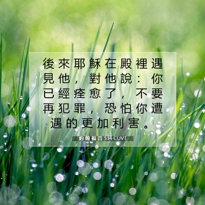 Picture 07 - 約 翰 福 音 5:14 CUVT - 後 來 耶 穌 在 殿 裡 遇 見 他 ， 對 - Bible Verse Picture