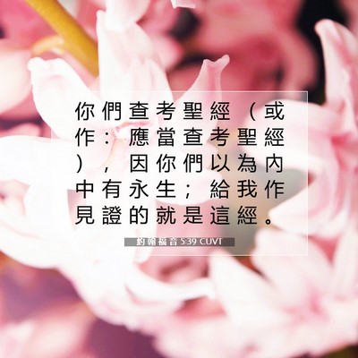 Picture 07 - 約 翰 福 音 5:39 CUVT - 你 們 查 考 聖 經 （ 或 作 ： 應 當 - Bible Verse Picture