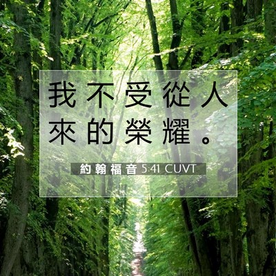 Picture 07 - 約 翰 福 音 5:41 CUVT - 我 不 受 從 人 來 的 榮 耀 - Bible Verse Picture