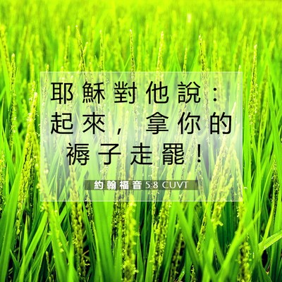 Picture 07 - 約 翰 福 音 5:8 CUVT - 耶 穌 對 他 說 ： 起 來 ， 拿 你 的 - Bible Verse Picture