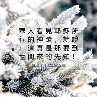 Picture 07 - 約 翰 福 音 6:14 CUVT - 眾 人 看 見 耶 穌 所 行 的 神 蹟 ， - Bible Verse Picture