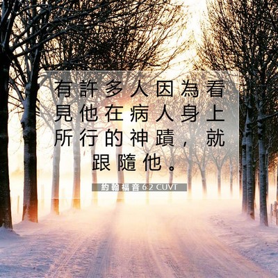 Picture 07 - 約 翰 福 音 6:2 CUVT - 有 許 多 人 因 為 看 見 他 在 病 人 - Bible Verse Picture