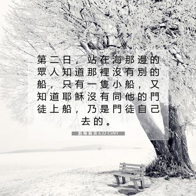 Picture 07 - 約 翰 福 音 6:22 CUVT - 第 二 日 ， 站 在 海 那 邊 的 眾 人 - Bible Verse Picture