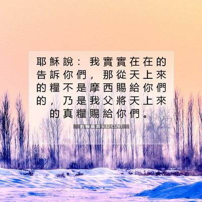 Picture 07 - 約 翰 福 音 6:32 CUVT - 耶 穌 說 ： 我 實 實 在 在 的 告 訴 - Bible Verse Picture