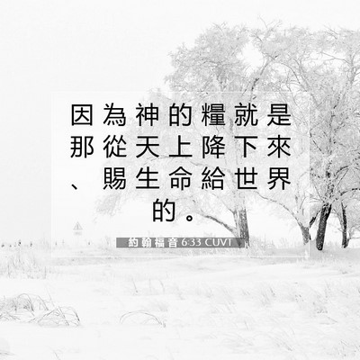 Picture 07 - 約 翰 福 音 6:33 CUVT - 因 為 神 的 糧 就 是 那 從 天 上 降 - Bible Verse Picture