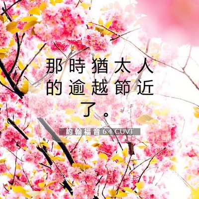 Picture 07 - 約 翰 福 音 6:4 CUVT - 那 時 猶 太 人 的 逾 越 節 近 了 - Bible Verse Picture