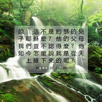 Picture 07 - 約 翰 福 音 6:42 CUVT - 說 ： 這 不 是 約 瑟 的 兒 子 耶 穌 - Bible Verse Picture
