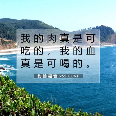 Picture 07 - 約 翰 福 音 6:55 CUVT - 我 的 肉 真 是 可 吃 的 ， 我 的 血 - Bible Verse Picture