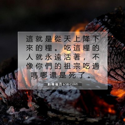 Picture 07 - 約 翰 福 音 6:58 CUVT - 這 就 是 從 天 上 降 下 來 的 糧 。 - Bible Verse Picture