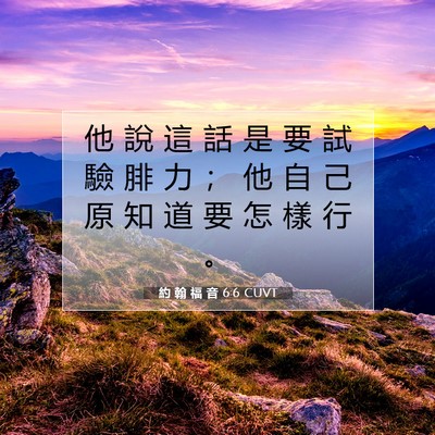 Picture 07 - 約 翰 福 音 6:6 CUVT - 他 說 這 話 是 要 試 驗 腓 力 ； 他 - Bible Verse Picture
