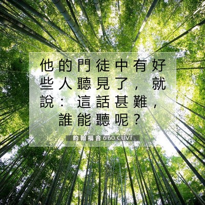 Picture 07 - 約 翰 福 音 6:60 CUVT - 他 的 門 徒 中 有 好 些 人 聽 見 了 - Bible Verse Picture