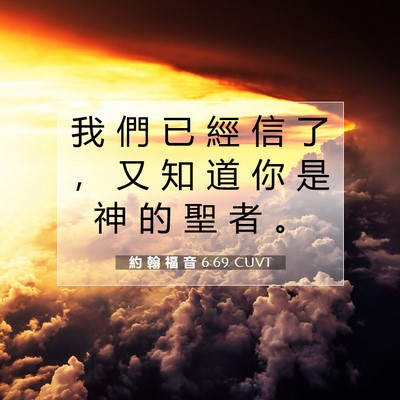 Picture 07 - 約 翰 福 音 6:69 CUVT - 我 們 已 經 信 了 ， 又 知 道 你 是 - Bible Verse Picture
