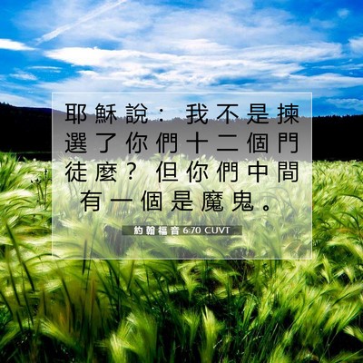 Picture 07 - 約 翰 福 音 6:70 CUVT - 耶 穌 說 ： 我 不 是 揀 選 了 你 們 - Bible Verse Picture