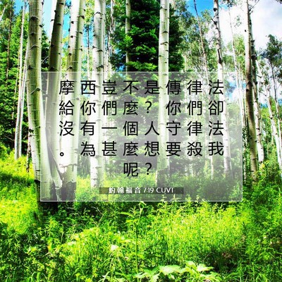 Picture 07 - 約 翰 福 音 7:19 CUVT - 摩 西 豈 不 是 傳 律 法 給 你 們 麼 - Bible Verse Picture