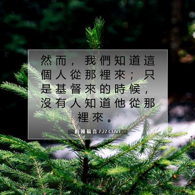 Picture 07 - 約 翰 福 音 7:27 CUVT - 然 而 ， 我 們 知 道 這 個 人 從 那 - Bible Verse Picture
