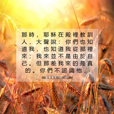Picture 07 - 約 翰 福 音 7:28 CUVT - 那 時 ， 耶 穌 在 殿 裡 教 訓 人 ， - Bible Verse Picture