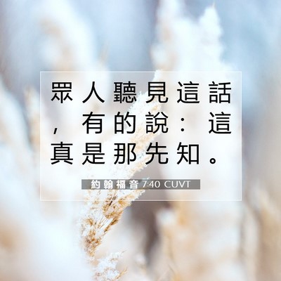 Picture 07 - 約 翰 福 音 7:40 CUVT - 眾 人 聽 見 這 話 ， 有 的 說 ： 這 - Bible Verse Picture