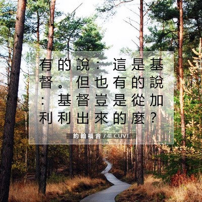 Picture 07 - 約 翰 福 音 7:41 CUVT - 有 的 說 ： 這 是 基 督 。 但 也 有 - Bible Verse Picture