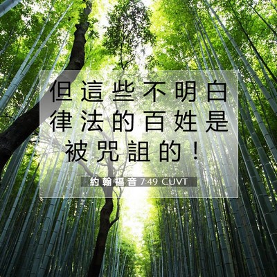 Picture 07 - 約 翰 福 音 7:49 CUVT - 但 這 些 不 明 白 律 法 的 百 姓 是 - Bible Verse Picture