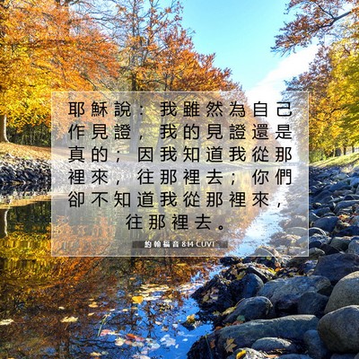 Picture 07 - 約 翰 福 音 8:14 CUVT - 耶 穌 說 ： 我 雖 然 為 自 己 作 見 - Bible Verse Picture