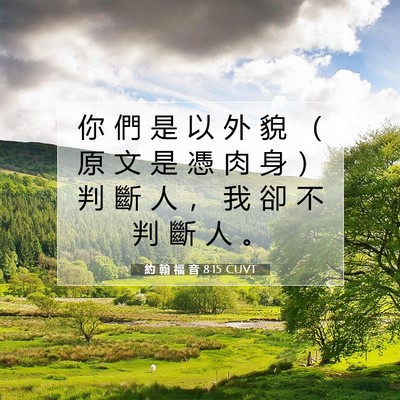 Picture 07 - 約 翰 福 音 8:15 CUVT - 你 們 是 以 外 貌 （ 原 文 是 憑 肉 - Bible Verse Picture