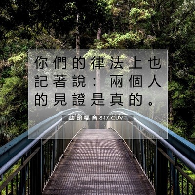 Picture 07 - 約 翰 福 音 8:17 CUVT - 你 們 的 律 法 上 也 記 著 說 ： 兩 - Bible Verse Picture