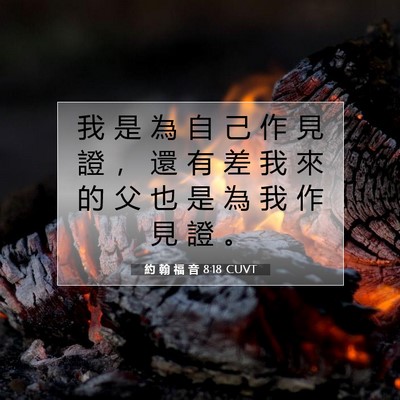 Picture 07 - 約 翰 福 音 8:18 CUVT - 我 是 為 自 己 作 見 證 ， 還 有 差 - Bible Verse Picture
