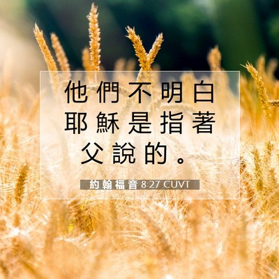 Picture 07 - 約 翰 福 音 8:27 CUVT - 他 們 不 明 白 耶 穌 是 指 著 父 說 - Bible Verse Picture