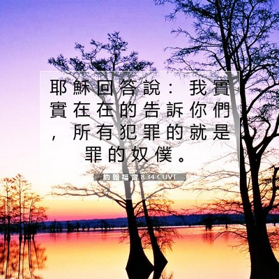 Picture 07 - 約 翰 福 音 8:34 CUVT - 耶 穌 回 答 說 ： 我 實 實 在 在 的 - Bible Verse Picture