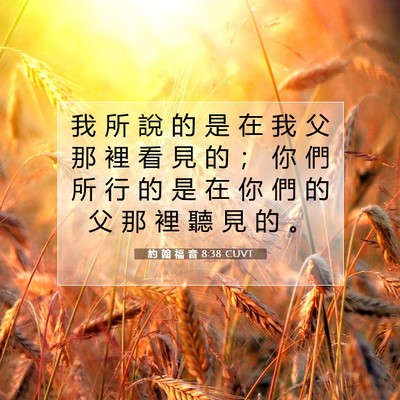 Picture 07 - 約 翰 福 音 8:38 CUVT - 我 所 說 的 是 在 我 父 那 裡 看 見 - Bible Verse Picture