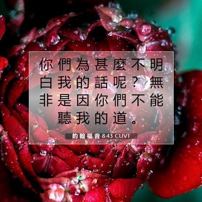 Picture 07 - 約 翰 福 音 8:43 CUVT - 你 們 為 甚 麼 不 明 白 我 的 話 呢 - Bible Verse Picture