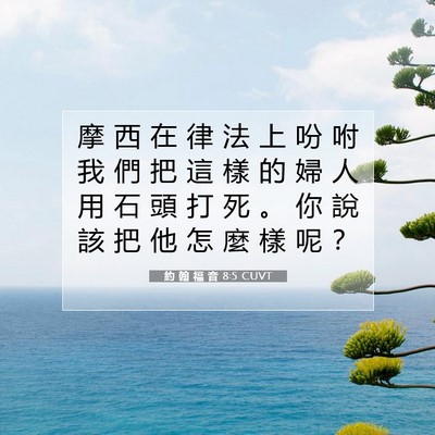 Picture 07 - 約 翰 福 音 8:5 CUVT - 摩 西 在 律 法 上 吩 咐 我 們 把 這 - Bible Verse Picture