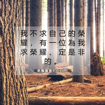 Picture 07 - 約 翰 福 音 8:50 CUVT - 我 不 求 自 己 的 榮 耀 ， 有 一 位 - Bible Verse Picture