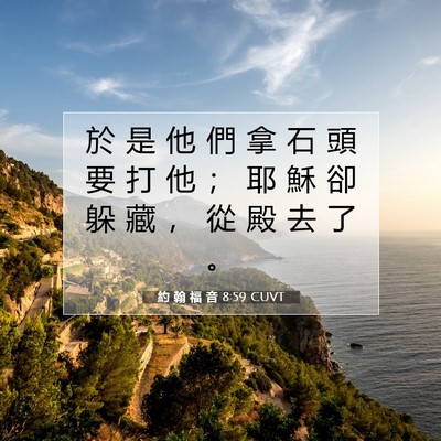 Picture 07 - 約 翰 福 音 8:59 CUVT - 於 是 他 們 拿 石 頭 要 打 他 ； 耶 - Bible Verse Picture
