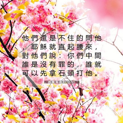 Picture 07 - 約 翰 福 音 8:7 CUVT - 他 們 還 是 不 住 的 問 他 ， 耶 穌 - Bible Verse Picture