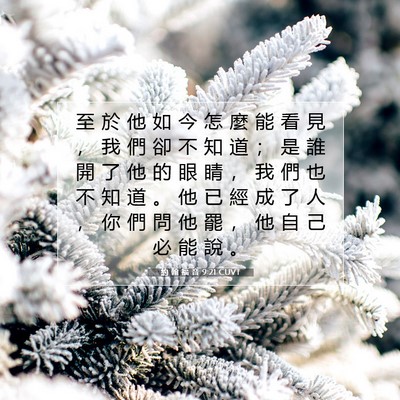 Picture 07 - 約 翰 福 音 9:21 CUVT - 至 於 他 如 今 怎 麼 能 看 見 ， 我 - Bible Verse Picture