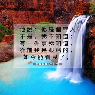 Picture 07 - 約 翰 福 音 9:25 CUVT - 他 說 ： 他 是 個 罪 人 不 是 ， 我 - Bible Verse Picture