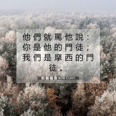 Picture 07 - 約 翰 福 音 9:28 CUVT - 他 們 就 罵 他 說 ： 你 是 他 的 門 - Bible Verse Picture