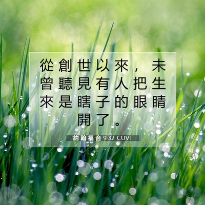 Picture 07 - 約 翰 福 音 9:32 CUVT - 從 創 世 以 來 ， 未 曾 聽 見 有 人 - Bible Verse Picture