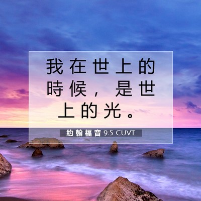 Picture 07 - 約 翰 福 音 9:5 CUVT - 我 在 世 上 的 時 候 ， 是 世 上 的 - Bible Verse Picture